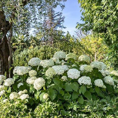B&B Villa Adriano Desenzano del Garda Exteriör bild